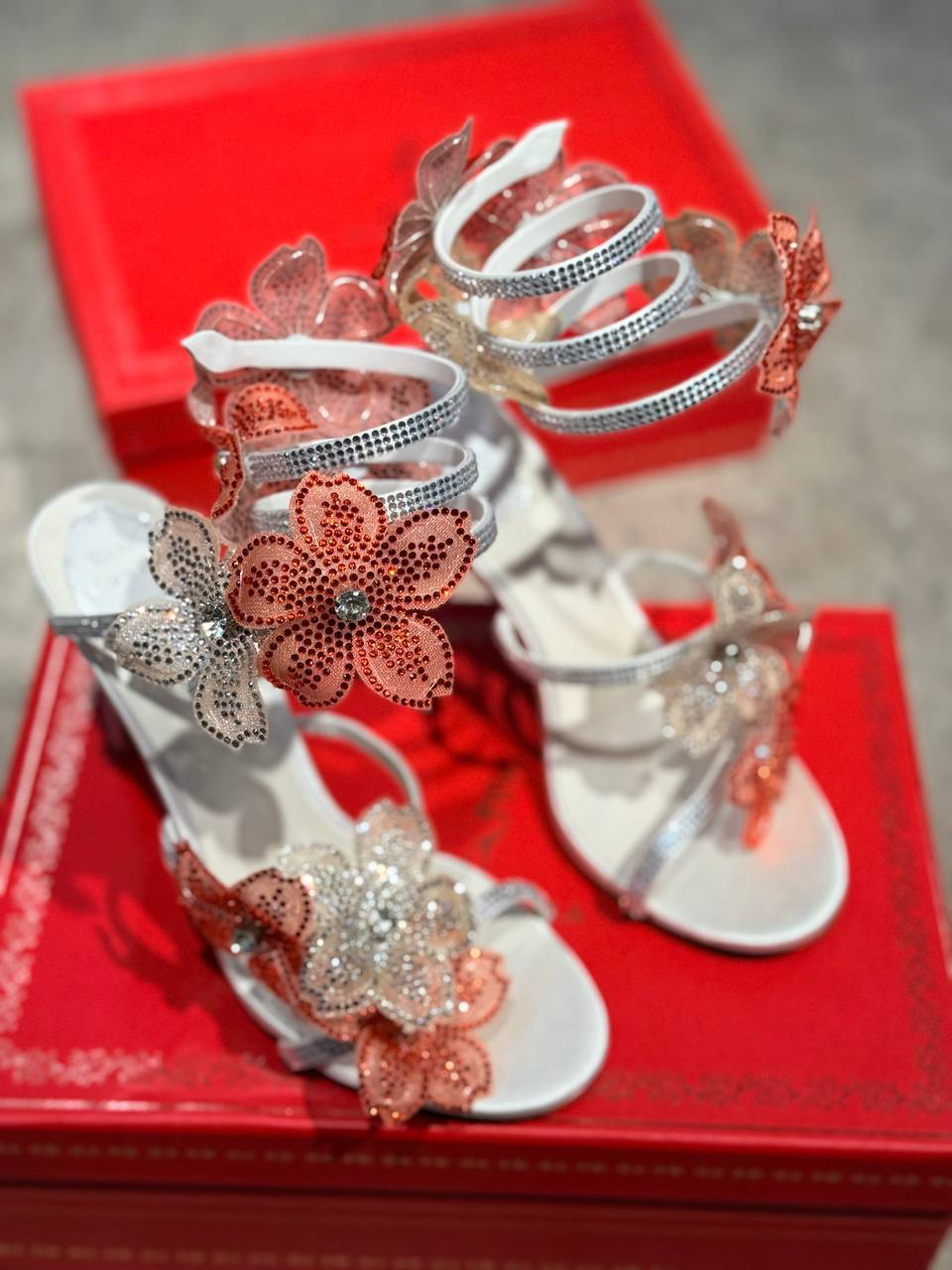 БОСОНОЖКИ RENE CAOVILLA детальное фото