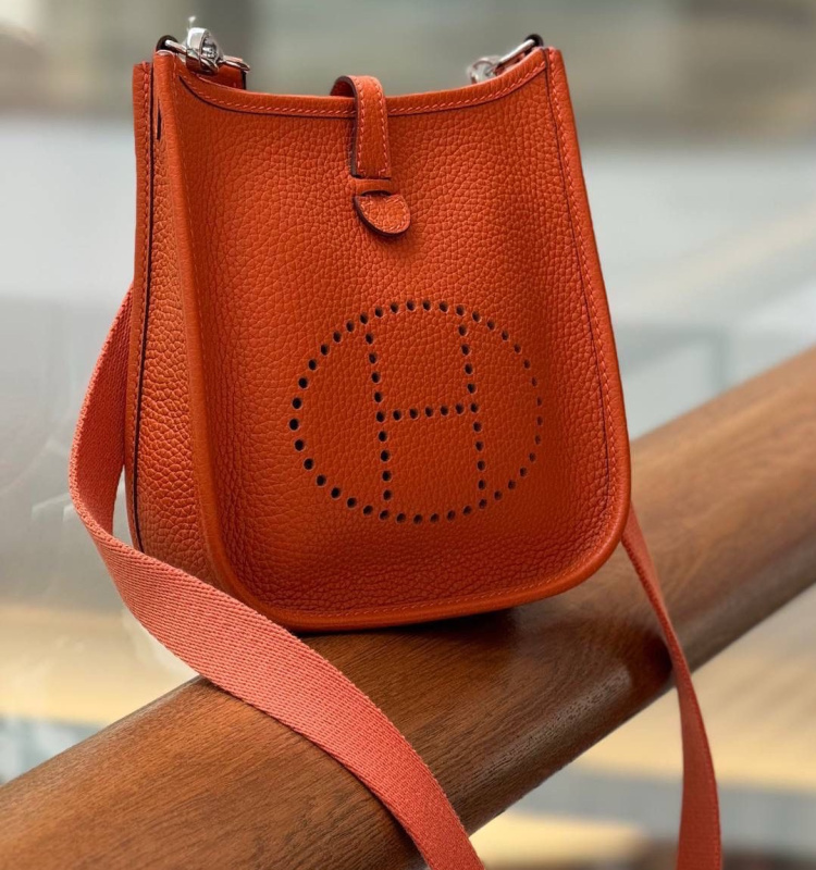 СУМКА HERMES EVELYNE MINI фото