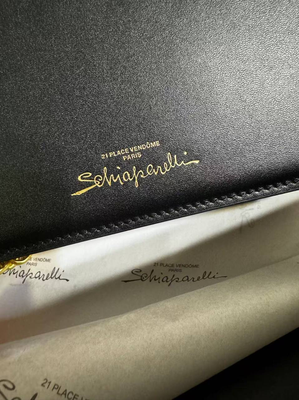СУМКА SCHIAPARELLI детальное фото