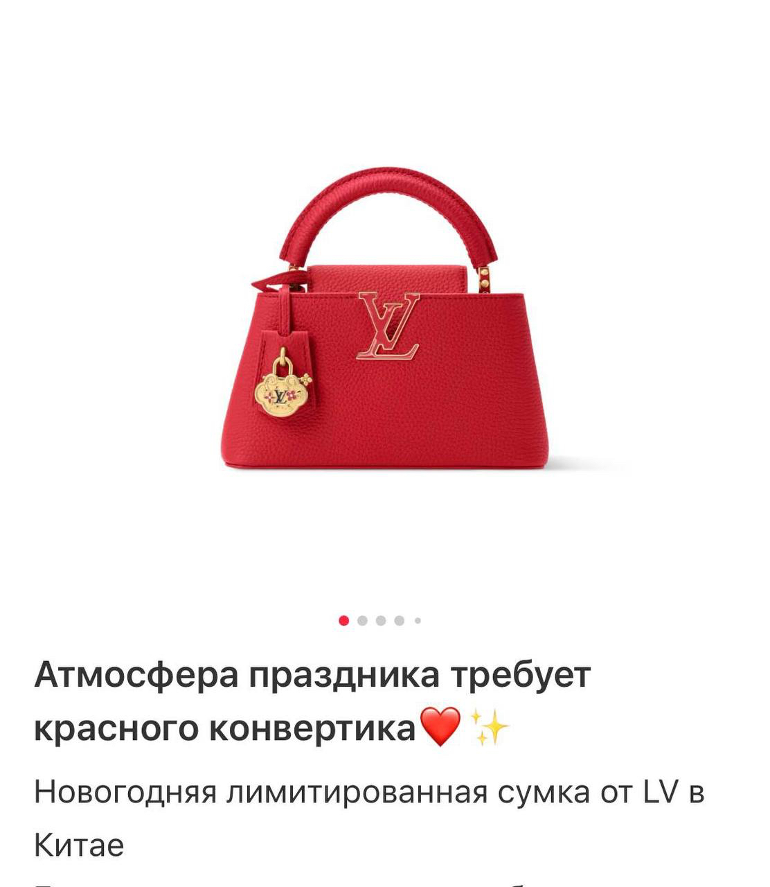 СУМКА LOUIS VUITTON детальное фото