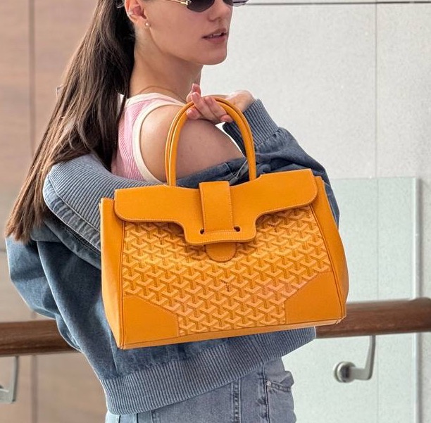 СУМКА GOYARD фото