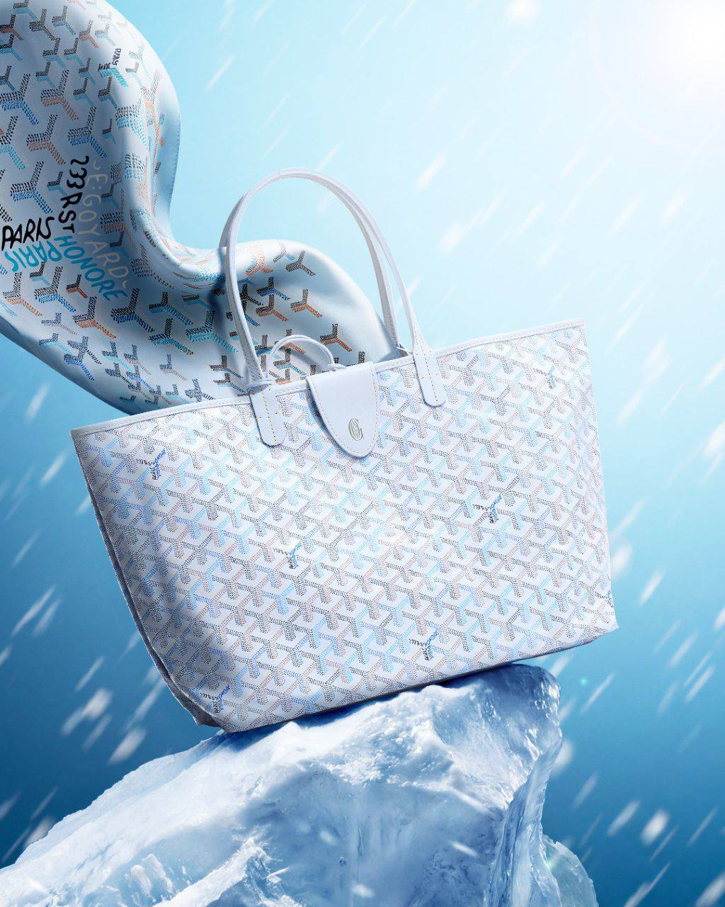 СУМКА GOYARD детальное фото