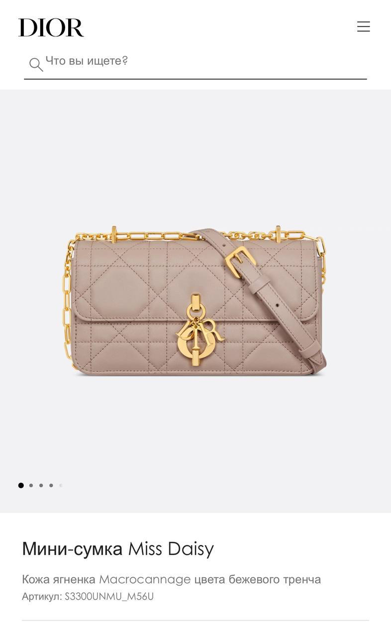 СУМКА CHRISTIAN DIOR детальное фото