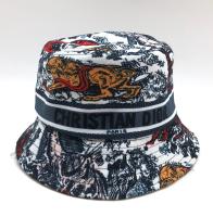 ПАНАМА CHRISTIAN DIOR фото