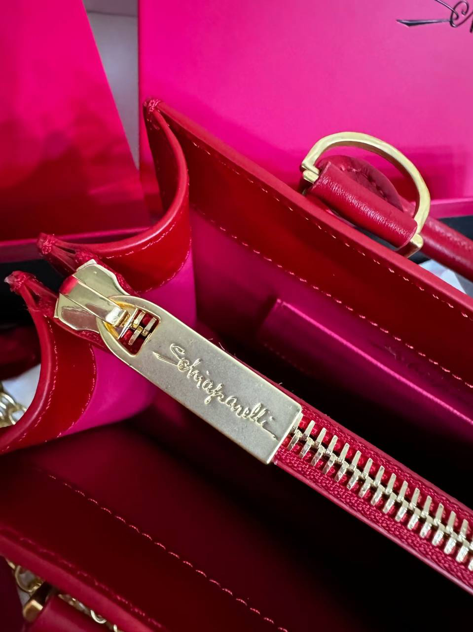 СУМКА SCHIAPARELLI детальное фото