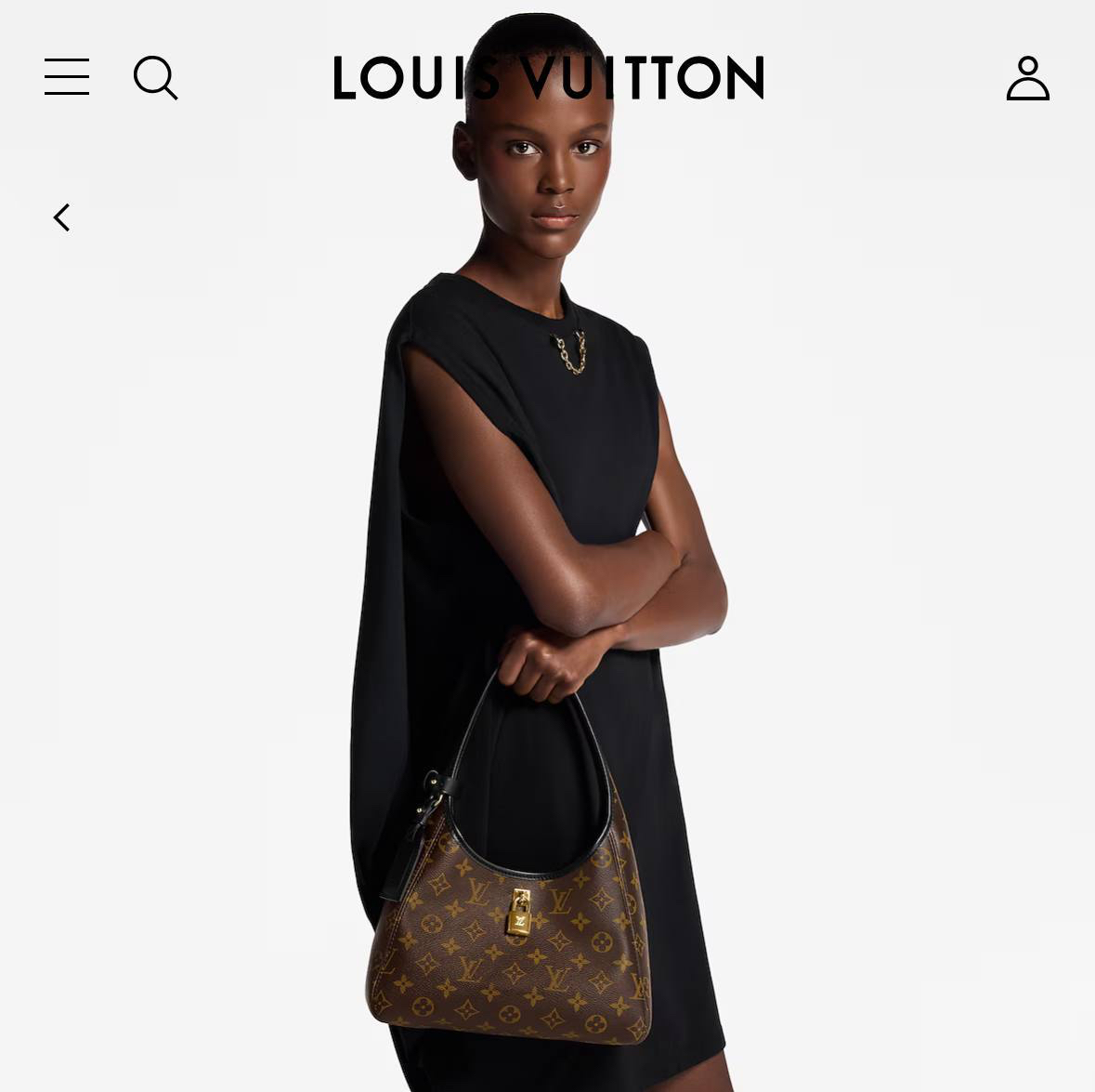 СУМКА LOUIS VUITTON детальное фото