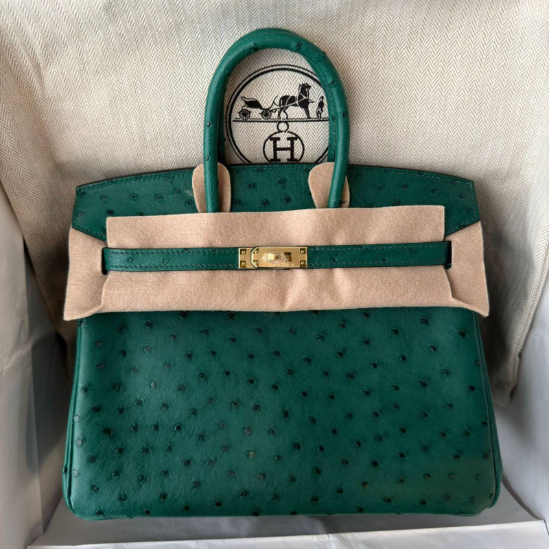 СУМКА HERMES BIRKIN 25 фото