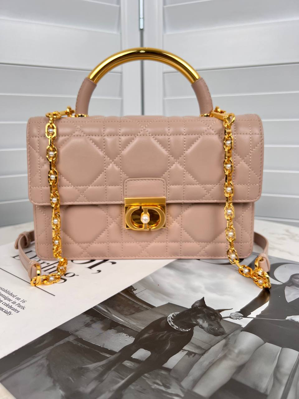 СУМКА CHRISTIAN DIOR детальное фото