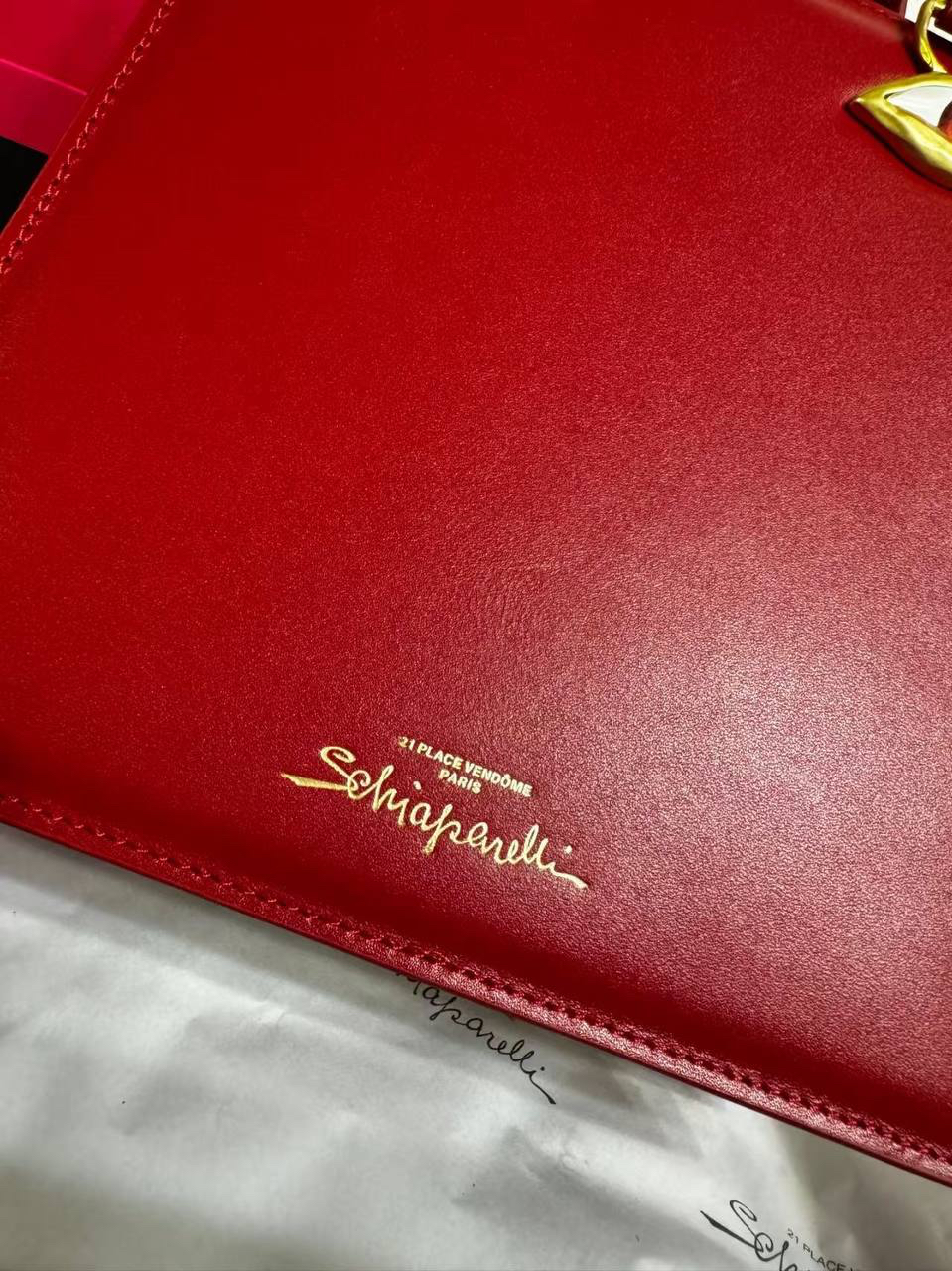 СУМКА SCHIAPARELLI детальное фото