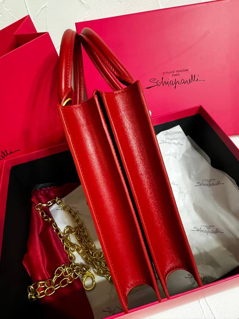 СУМКА SCHIAPARELLI детальное фото