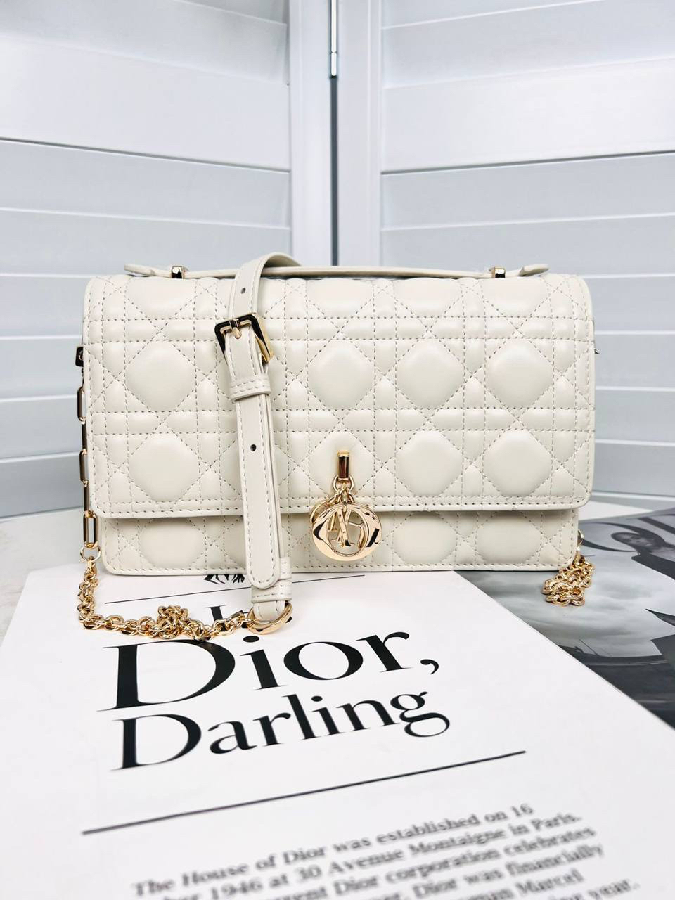 СУМКА CHRISTIAN DIOR HANDLE детальное фото