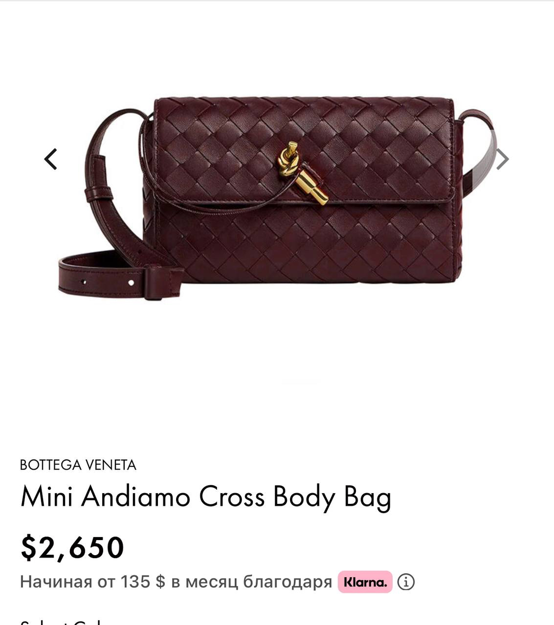 СУМКА BOTTEGA VENETA MINI детальное фото