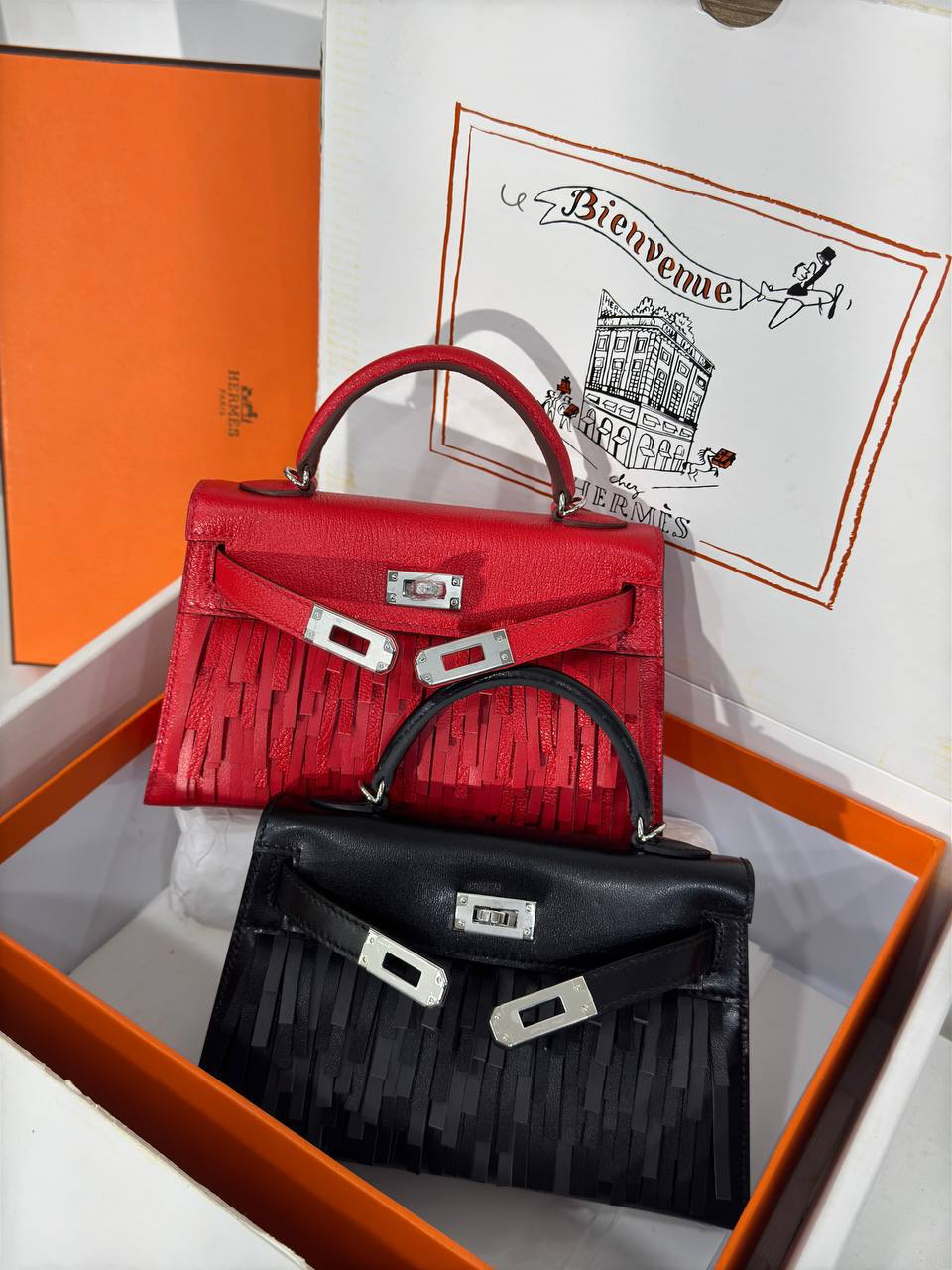 СУМКА HERMES PAMPILLES детальное фото