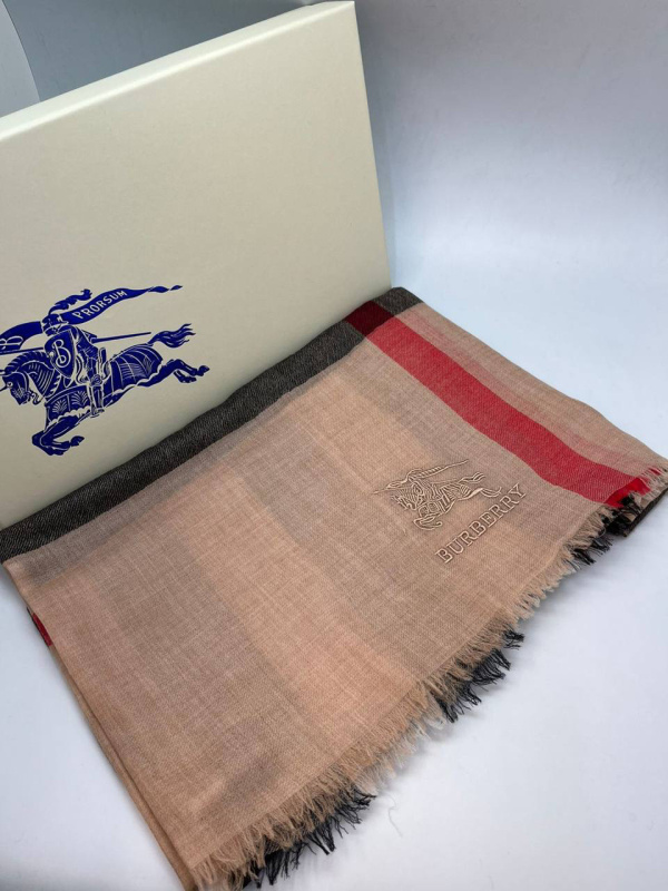 ПАЛАНТИН BURBERRY фото