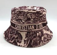 ПАНАМА CHRISTIAN DIOR фото