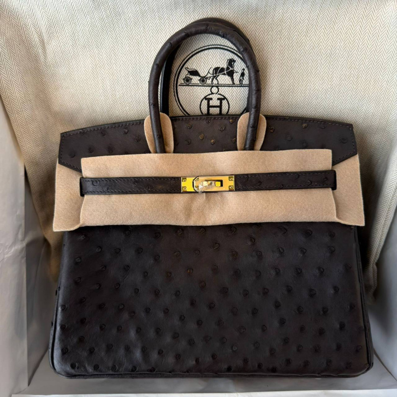СУМКА HERMES BIRKIN 25 фото