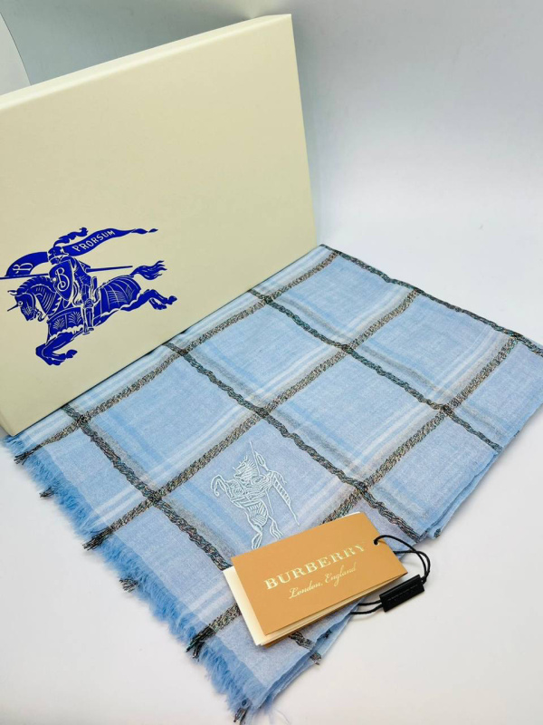 ПАЛАНТИН BURBERRY фото