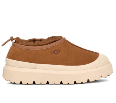 УГГИ UGG TASMAN фото
