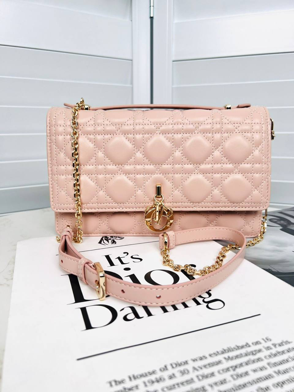 СУМКА CHRISTIAN DIOR HANDLE детальное фото