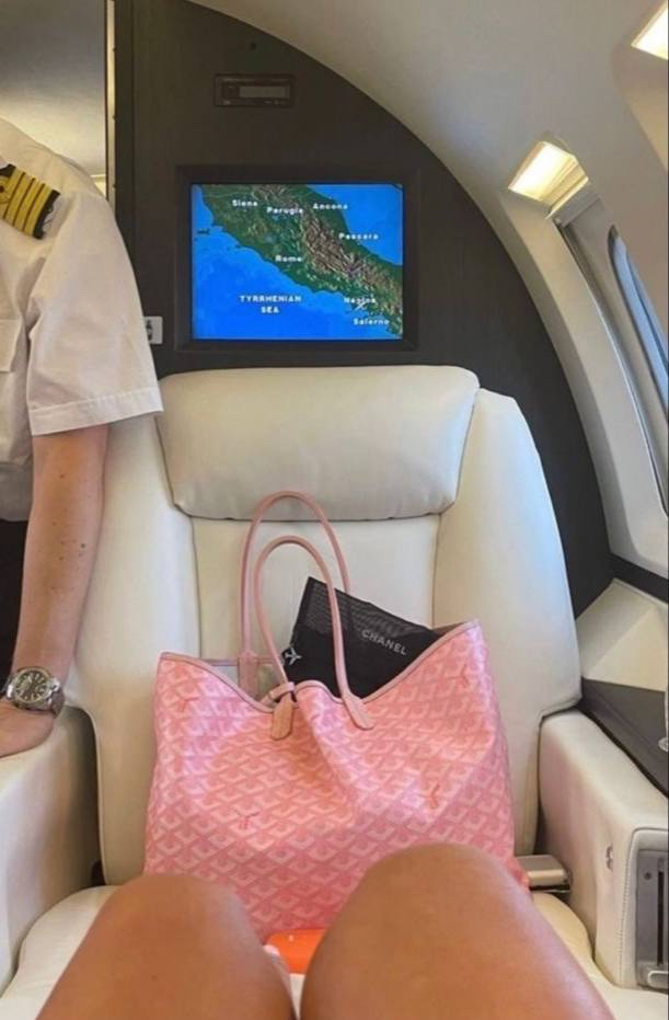 СУМКА GOYARD детальное фото