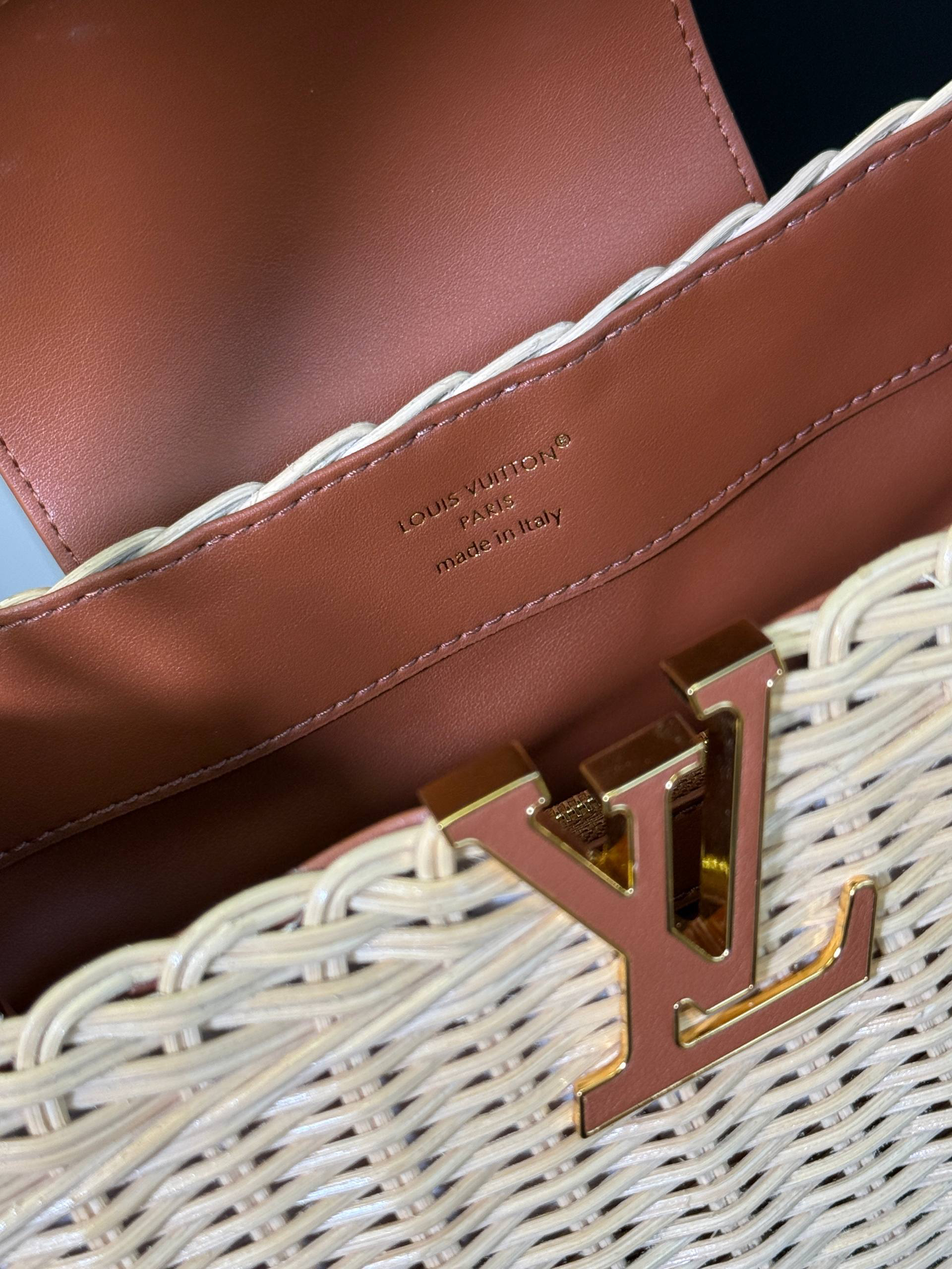 СУМКА LOUIS VUITTON детальное фото