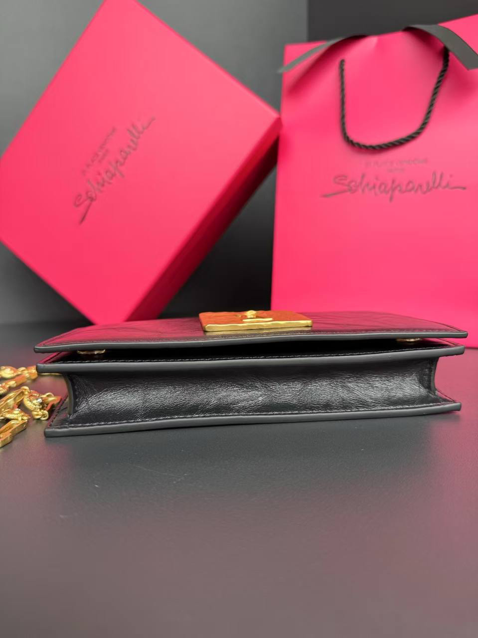 СУМКА SCHIAPARELLI детальное фото