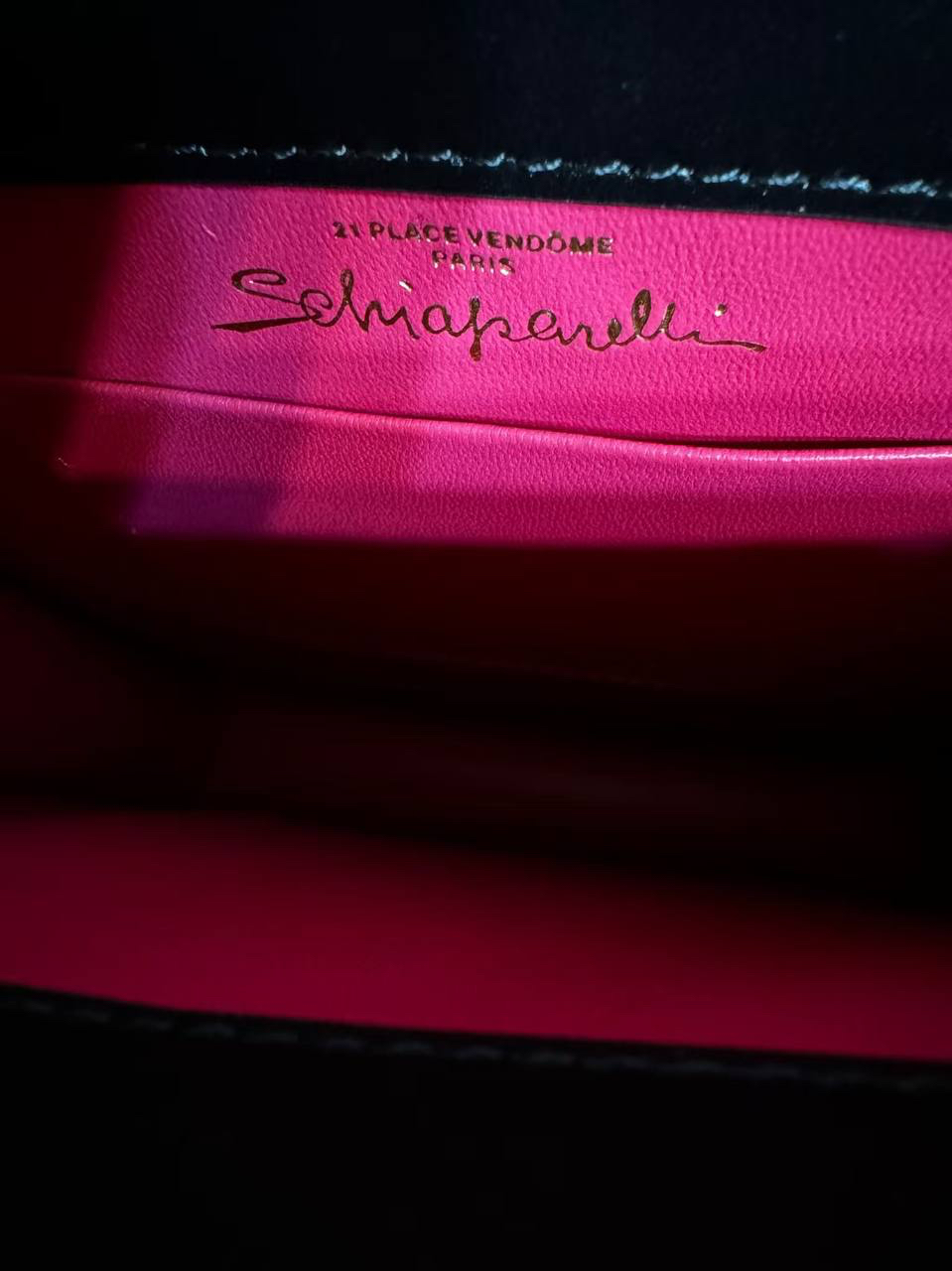 СУМКА SCHIAPARELLI детальное фото