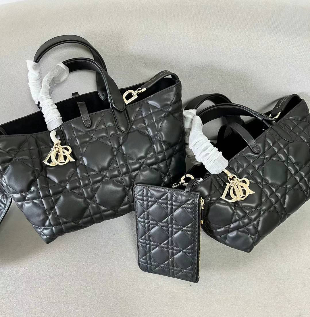 СУМКА CHRISTIAN DIOR TOUJOUPS детальное фото