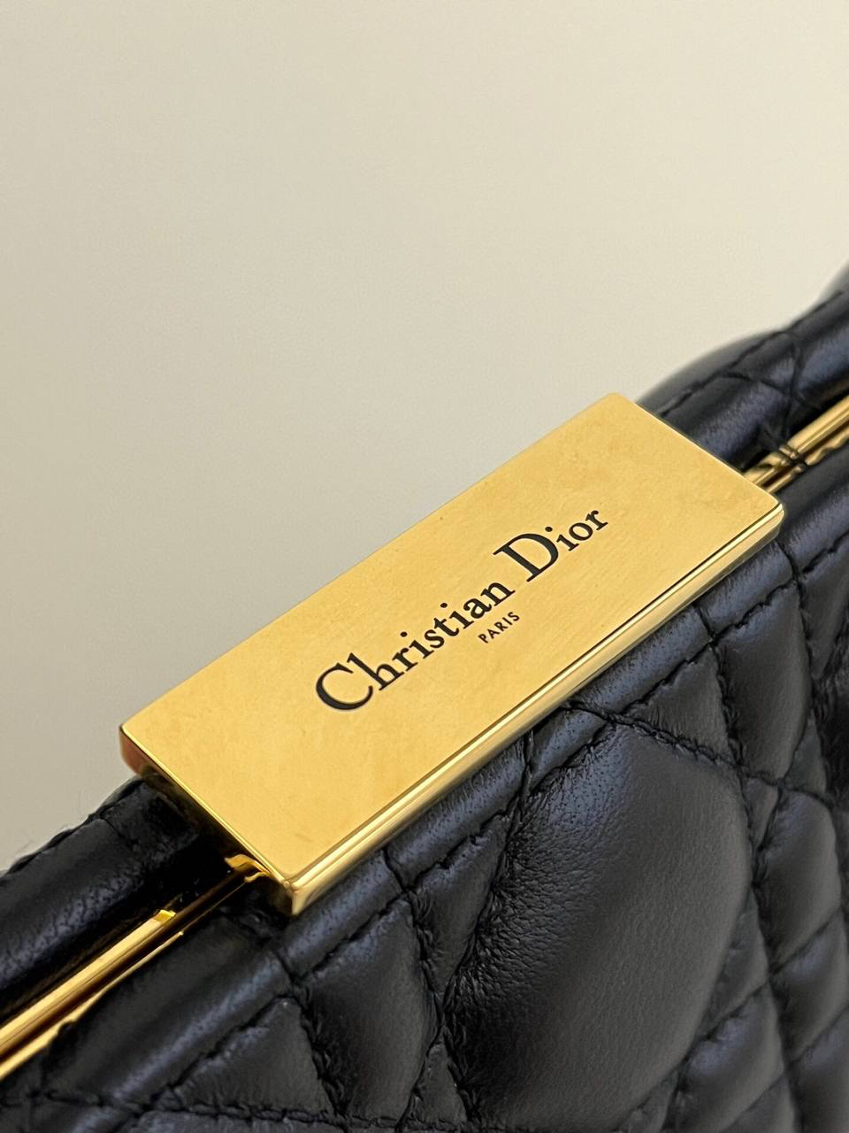СУМКА CHRISTIAN DIOR детальное фото